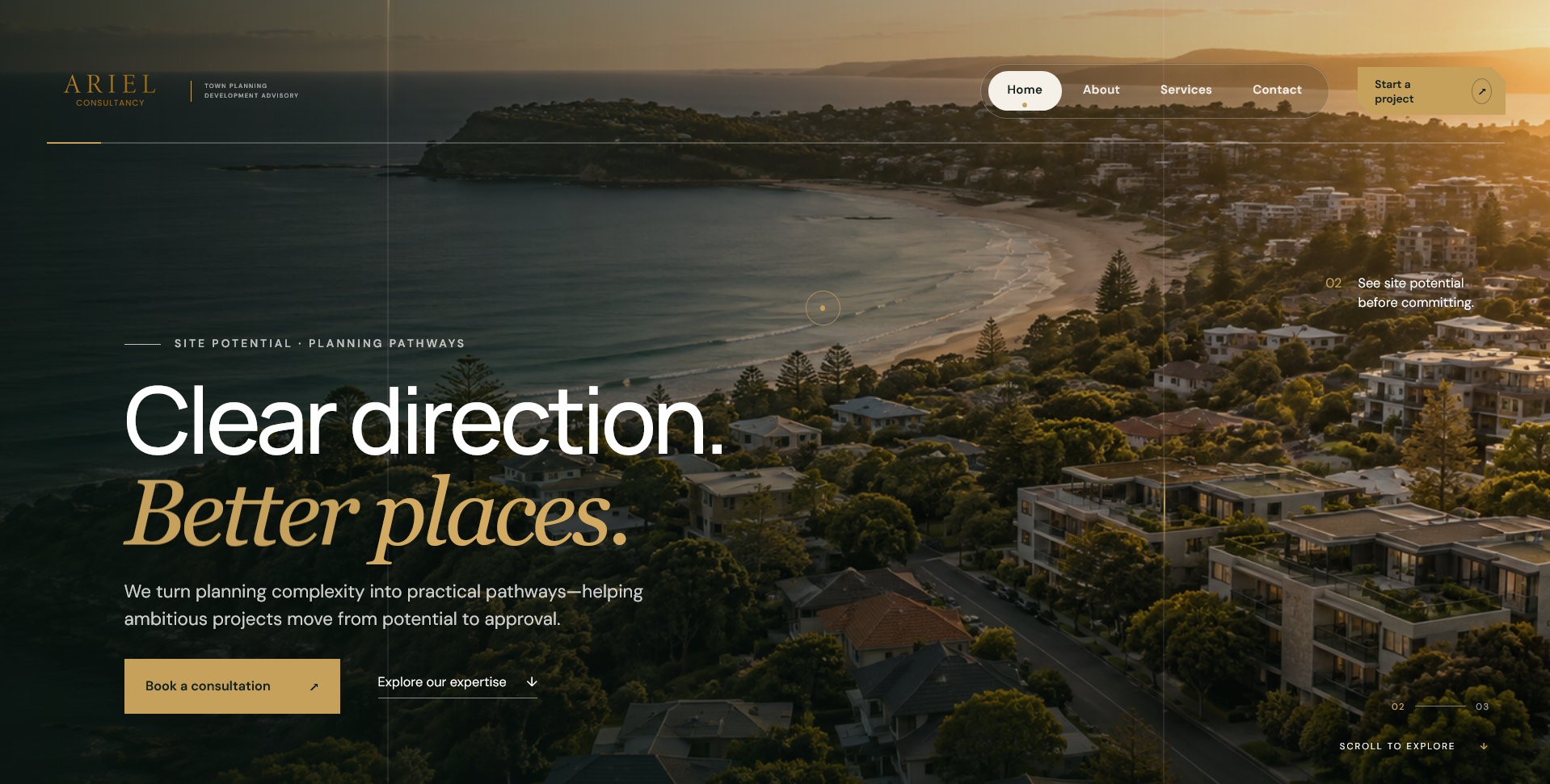 Ariel Consultancy website design